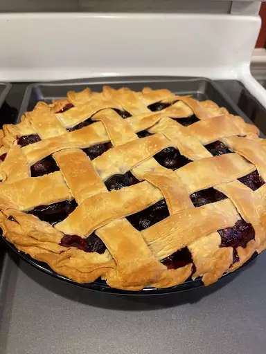 Delicious Homemade Blueberry Pie